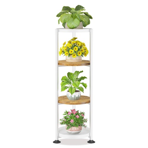 Laszola plant stand tall - plant,